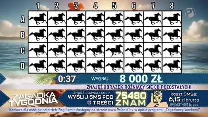 Polonia 1 - "Zagadka Tygodnia" (wersja 30 min.) (13. 07. 2026)