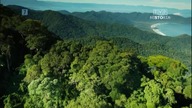 Brazylia.  Historia Naturalna Zagrożony las, odc.  1