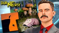 DURNE NEWSY! - Grzyby, Zaginięcia, Spadła z Klifu, Babcia vs Autobus 