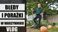 Błędy i porażki w moim warzywniku! VLOG Plany na nadchodzące tygodnie