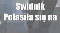 Świdnik: Połasiła się na bransoletki