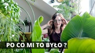 Czy ROŚLINY DOMOWE mogą nas NEGATYWNIE wpływac? Vlog