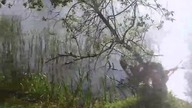 kult zapier*olu.  Nawet  cisną..  jak żyć?
