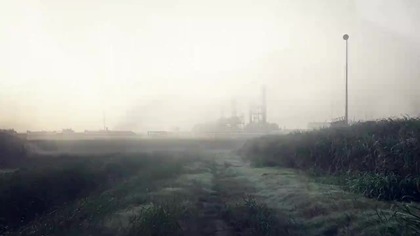 Dedektw 8