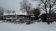 Kury zimą - 17. 12. 2022