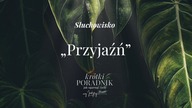 Słuchowisko #63 | Przyjaźń | Krótki poradnik jak ogarnąć życie [PODCAST]