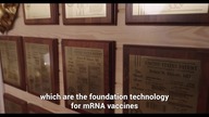 Wewnątrz szczepionek mRNA - Inside mRNA Vaccines lektor pl