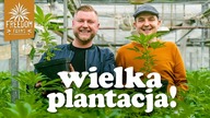 BYŁEM NA PLANTACJI FREEDOM FARMS! PRZEMYSŁAW ZAWADZKI POKAZAŁ MI SWOJE ROŚLINY!