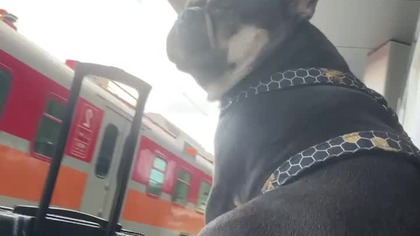 W oczekiwaniu na InterCity.