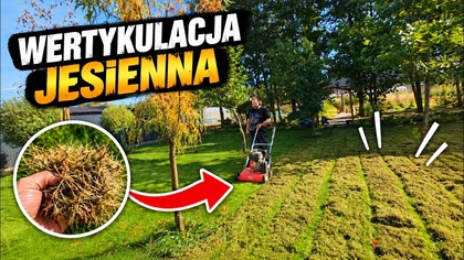 WERTYKULACJA JESIENIĄ  Zobacz, ile FILCU wyciągnęliśmy z trawnika!