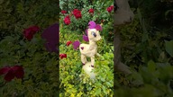 Biały Kucyk Pony z kanału @diy_art_ideas #shorts #diy #pony
