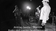 Andrzej Zaucha / Dżamble - Rzeko płyń szeroko (1979)