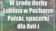 W środę derby Lublina w Pucharze Polski, spacerki dla Avii i Świdniczanki?