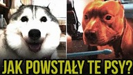 10 HISTORII POWSTANIA RAS PSOW