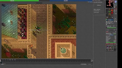 [PL]Tibia/Expimy Gadamy/BOSSY