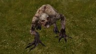 Wiedźmin Pogromca Potworów Początek Gry THE WITCHER MONSTER SLAYER