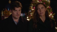 Święta u Fox&oacute;w (2023) [Lektor PL] - Christmas with the Foxes
