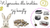 Wyprawka dla królika+ jej koszty