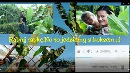 Odc-691-Znowu kwitną bananowce,nowe ptaki egzotyczne,budowa daszku,maurlii mega liść,brugmansja
