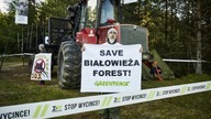 Ekoterroryści i branża futerkowa