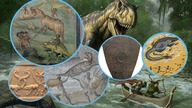 Koegzystencja ludzi z dinozaurami (część 2) | W Nieznane