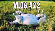 SENNY VLOG  Vlog #22