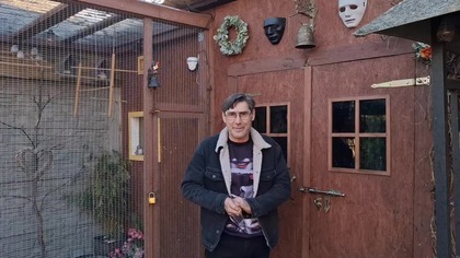 Diamenty w jajkach * kanarki i papużki faliste * 26. 02. 2026