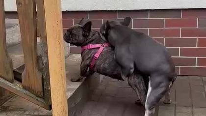 Zabawa z Koleżanką