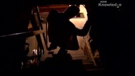 Historia chrześcijaństwa Protestantyzm