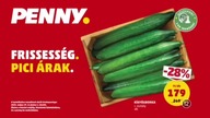 Viasat 3 Hungary [03.06.2025] - Continuity 