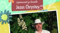 Miłość i Prawda Księga Miłości i Prawdy Jezus Chrystus