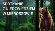 MIEROSZÓW- SPOTKANIE Z NIEDŹWIEDZIEM