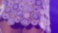 Ariana sul canale MTV Music tra i primi sei della classifica #shorts