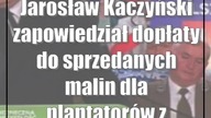 Jarosław Kaczyński zapowiedział dopłaty do sprzedanych malin dla plantatorów z wo...