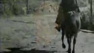 GARABANDAL cały film Objawienia Maryjne w San Sebastian de GARABANDAL