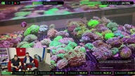 AkwaLive z ReefTime [LIVE #116]