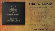 Dzieje Apostolskie