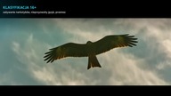 The Grand Tour S3E13