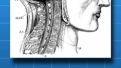 W jaki sposób medytacja zmienia mózg?