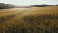 Jestem wytypowana wam ludzie do tego, by was tu ośmielać i zagarniać też ku nam jednocześnie, gdyż..