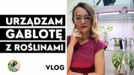Gablota z roślinami - od czego zacząć ? Jak wyposażyć szklaną gablotę dla roślin domowych?