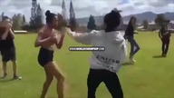 Armbar Catfight