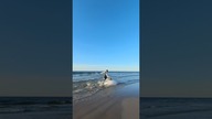 POV SESJA ŚLUBNA NAD MORZEM *i w morzu*