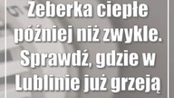 Żeberka ciepłe