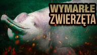10 WYMARŁYCH DZIWNYCH ZWIERZAT