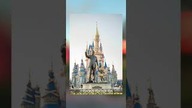 Disneyland będzie dawał dożywotnie zakazy wstępu.