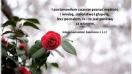 Audycja Wyzwolony - Jarome Schwab