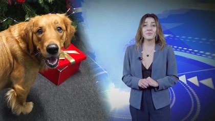Jaworexpress 23. 12. 2025 - Wiadomości telewizyjne