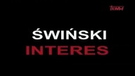 Swinski. interes. (2009). lektor.pl. avi