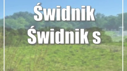 Świdnik: Świdnik się zazieleni